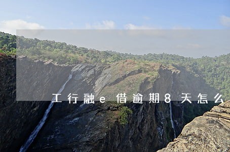 工行融e借逾期8天怎么办 工行融e借逾期8天怎么办