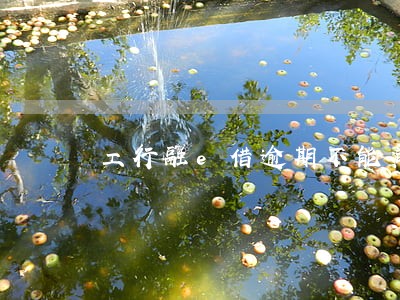 工行融e借逾期不能减免 工行融e借逾期不能减免