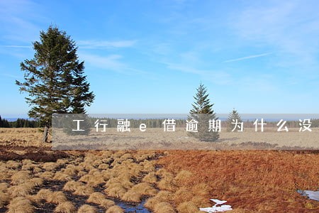 工行融e借逾期为什么没电话