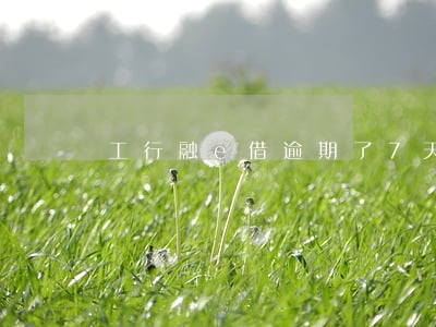 工行融e借逾期了7天 工行融e借逾期了7天