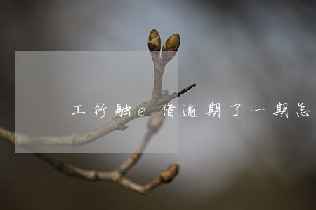 工行融e借逾期了一期怎么办 工行融e借逾期了一期怎么办