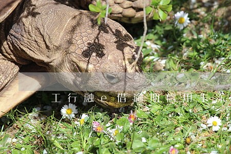 工行融e借逾期信用卡冻结 工行融e借逾期信用卡冻结