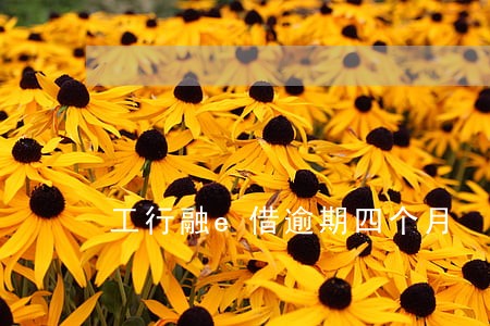 工行融e借逾期四个月 工行融e借逾期四个月