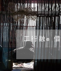 工行融e借逾期多久消除 工行融e借逾期多久消除