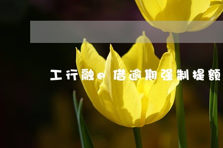 工行融e借逾期强制提额 工行融e借逾期强制提额