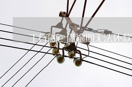 工行融e借逾期无法还款