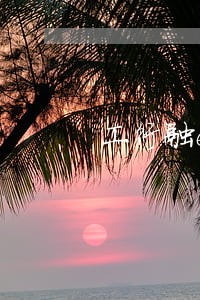 工行融e借逾期有什么后果 工行融e借逾期有什么后果
