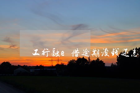 工行融e借逾期没钱还怎么办