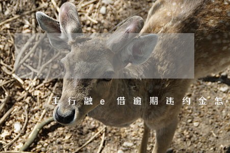 工行融e借逾期违约金怎么那么高
