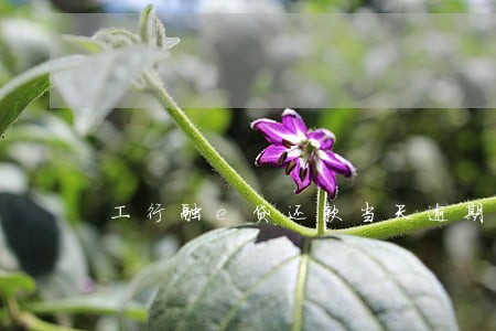 工行融e贷还款当天逾期 工行融e贷还款当天逾期