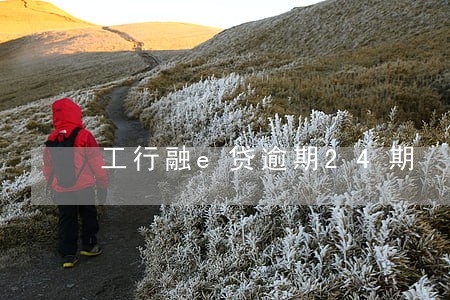 工行融e贷逾期24期