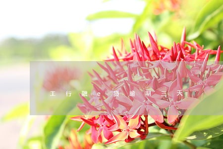 工行融e贷逾期三天 工行融e贷逾期三天