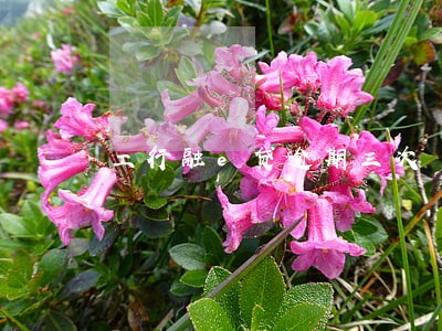 工行融e贷逾期三次 工行融e贷逾期三次