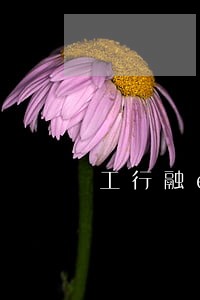 工行融e逾期上征信
