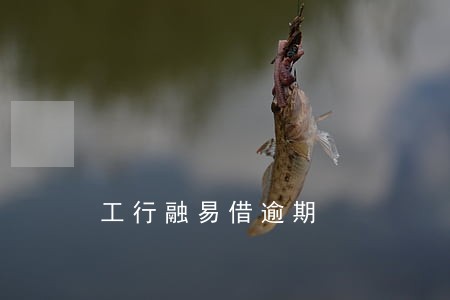 工行融易借逾期 工行融易借逾期
