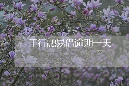 工行融易借逾期一天 工行融易借逾期一天