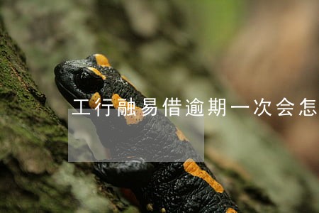 工行融易借逾期一次会怎么样 工行融易借逾期一次会怎么样