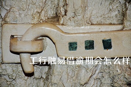 工行融易借逾期会怎么样 工行融易借逾期会怎么样