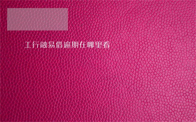 工行融易借逾期在哪里看