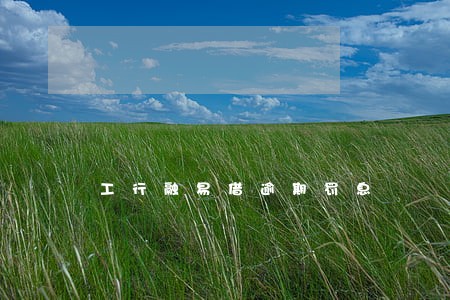 工行融易借逾期罚息 工行融易借逾期罚息