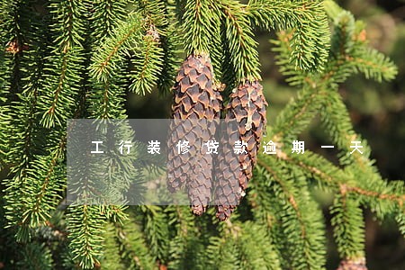 工行装修贷款逾期一天 工行装修贷款逾期一天