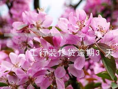 工行装修贷逾期3天 工行装修贷逾期3天