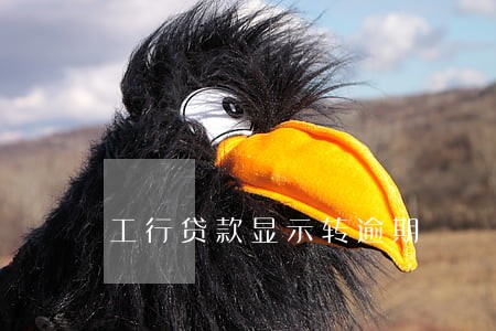 工行贷款显示转逾期 工行贷款显示转逾期