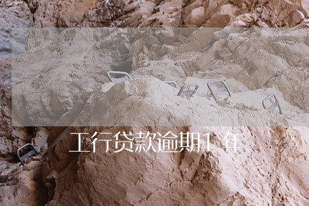 工行贷款逾期1年 工行贷款逾期1年
