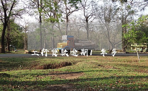 工行贷款逾期1年多 工行贷款逾期1年多