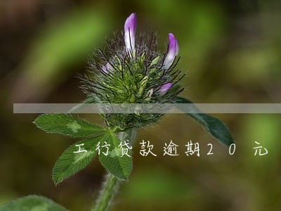 工行贷款逾期20元 工行贷款逾期20元