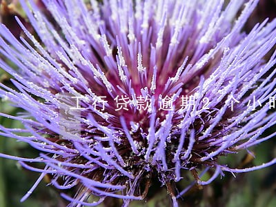 工行贷款逾期2个小时 工行贷款逾期2个小时