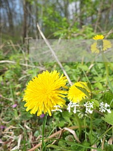工行贷款逾期2天 工行贷款逾期2天