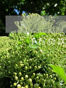 工行贷款逾期2年 工行贷款逾期2年