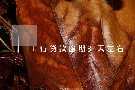 工行贷款逾期3天左右 工行贷款逾期3天左右