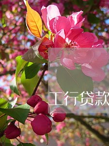 工行贷款逾期5天怎么办