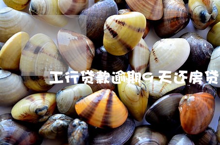 工行贷款逾期9天还房贷 工行贷款逾期9天还房贷