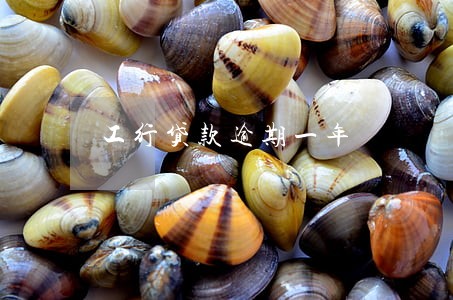 工行贷款逾期一年 工行贷款逾期一年