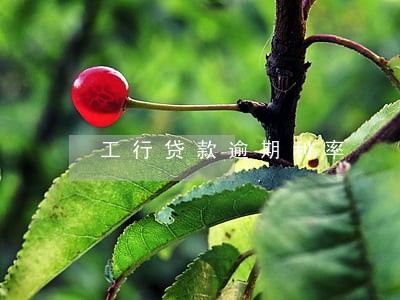 工行贷款逾期利率 工行贷款逾期利率