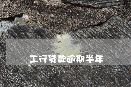 工行贷款逾期半年 工行贷款逾期半年