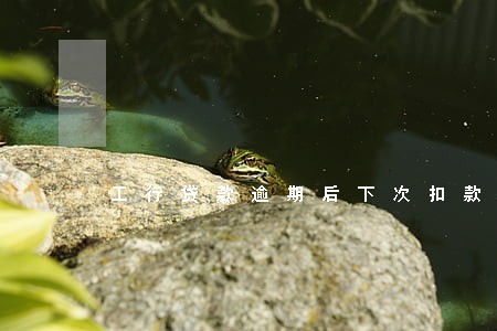 工行贷款逾期后下次扣款时间 工行贷款逾期后下次扣款时间