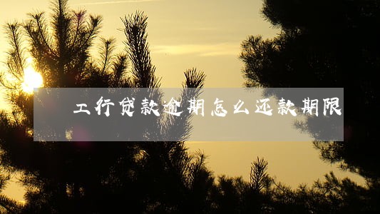 工行贷款逾期怎么还款期限 工行贷款逾期怎么还款期限