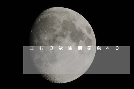 工行贷款逾期罚息40 工行贷款逾期罚息40
