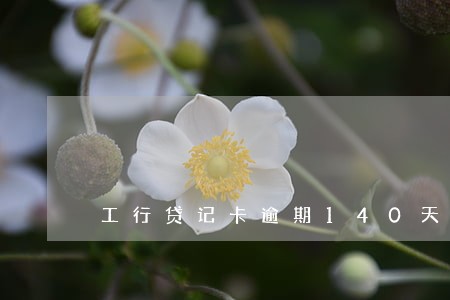 工行贷记卡逾期140天 工行贷记卡逾期140天