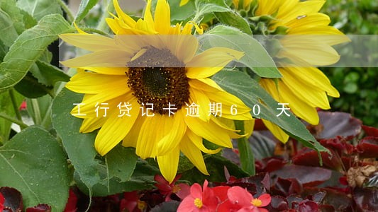 工行贷记卡逾期60天 工行贷记卡逾期60天
