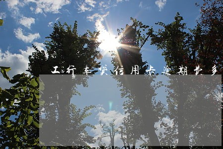 工行车贷信用卡逾期费多少 工行车贷信用卡逾期费多少