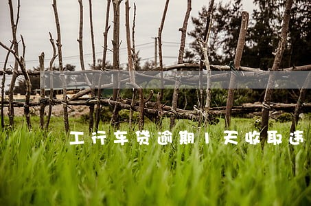 工行车贷逾期1天收取违约金