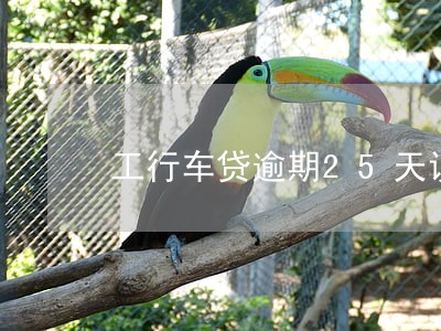 工行车贷逾期25天说要拖车 工行车贷逾期25天说要拖车