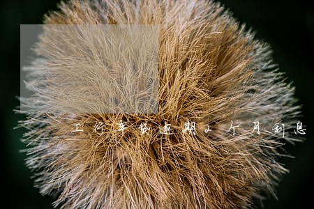 工行车贷逾期2个月利息三千多
