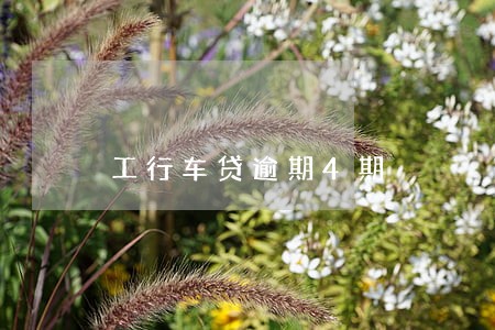 工行车贷逾期4期 工行车贷逾期4期