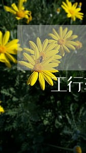 工行车贷逾期60天 工行车贷逾期60天